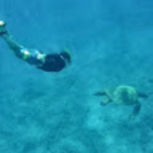 Meet your Posher, Benjamin h.